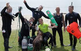 Duikteam Den Helder - PADI Cursussen